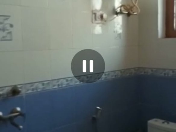 584