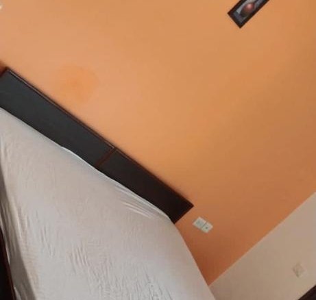 461