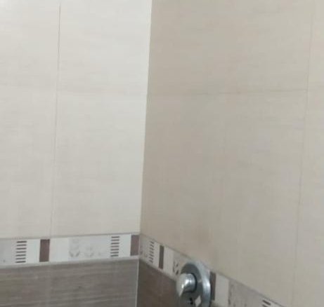461